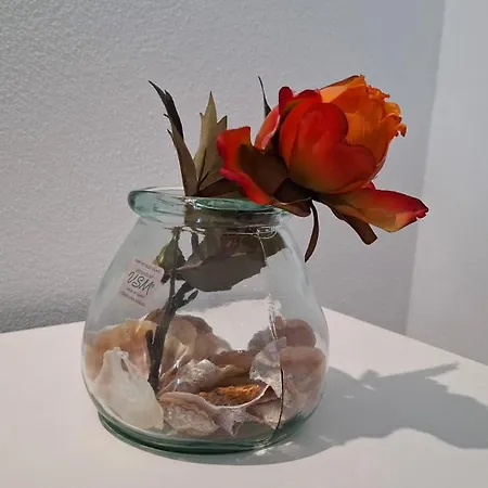 Gasthuis Natur Room