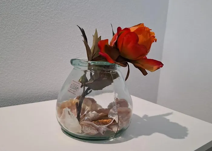 ゲストハウス Natur Room